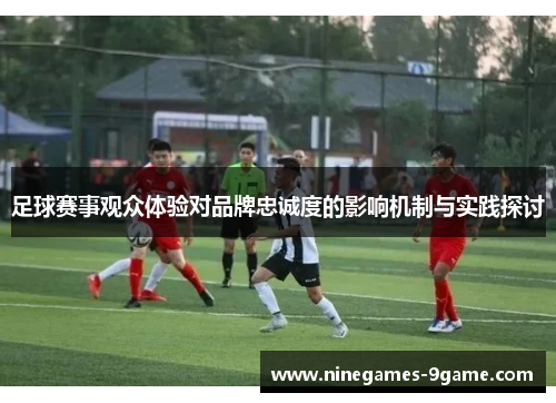 足球赛事观众体验对品牌忠诚度的影响机制与实践探讨 足球赛事观众体验对品牌忠诚度的影响机制与实践探讨