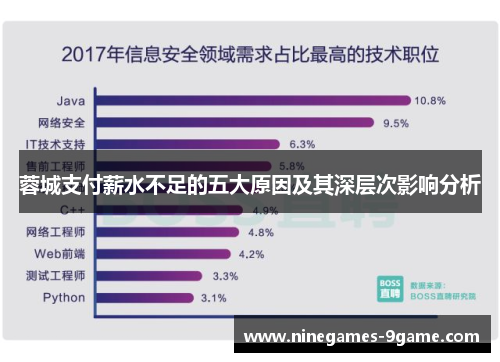 蓉城支付薪水不足的五大原因及其深层次影响分析
